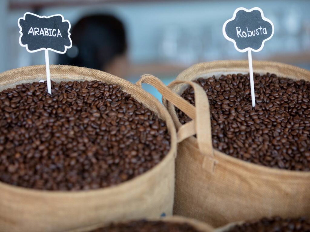 Worki z kawą. Obrazek w artykule Odmiany kawy arabica. Opisujemy różnice catuai, catucai, charrier